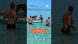 Video post by @accuweather on YouTube