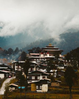 Image post by @bill.yao on Instagram