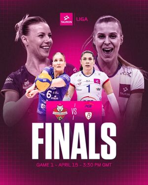 Image post by @volleyballworld on Instagram