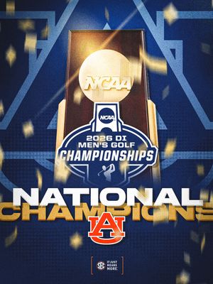 Image post by @sec on Instagram
