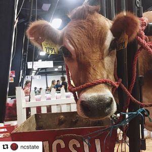 Image post by @ncstatecals on Instagram