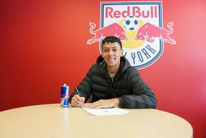 Image post by @tombogert on Twitter