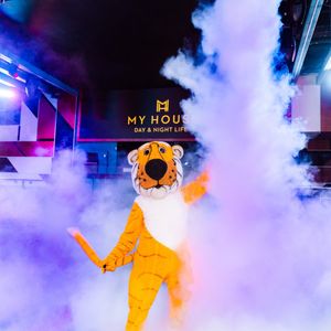 Image post by @mizzouathletics on Instagram