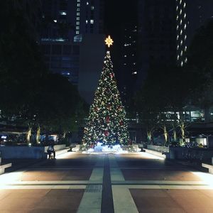 Image post by @nicolaianeselli on Instagram