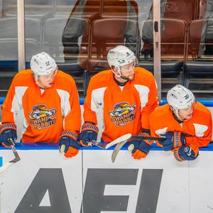 Image post by @swamprabbits on Instagram