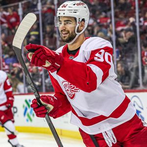 Image post by @detroitredwings on Instagram