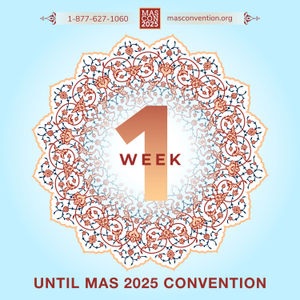 Image post by @masicna on Instagram