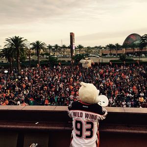 Image post by @anaheimducks on Instagram