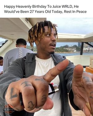 Image post by @nojumper on Instagram