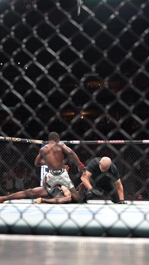 Video post by @ufc on TikTok