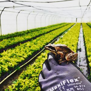 Image post by @alpertongfidanligi on Instagram