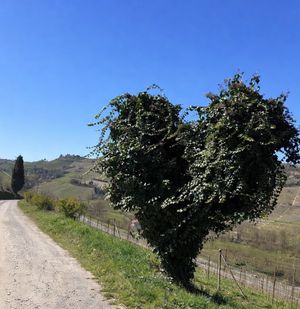 Image post by @villagarassino on Instagram