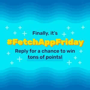 Image post by @FetchRewards on Twitter