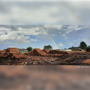 Image post by @rautecorporation on Instagram