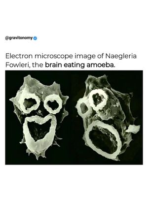 Image post by @gravitonomy on Instagram