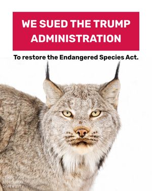 Image post by @centerforbiodiv on Instagram