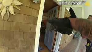 Video post by @newsday on YouTube