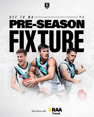 Image post by @PAFC on Twitter/X