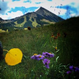 Image post by @skicrestedbutte on Instagram