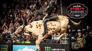Video post by @pbr on YouTube
