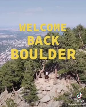 Video post by @chipthebuffalo on Facebook