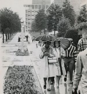 Image post by @fsulibraries on Instagram