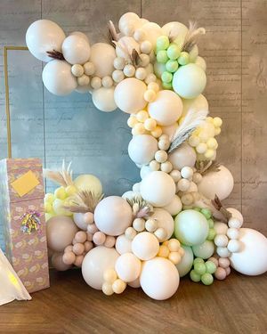 Image post by @balloons_by_victoria_dz on Instagram