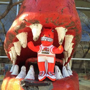 Image post by @ucalgarydinos on Instagram