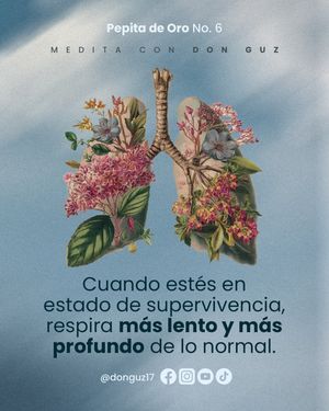 Image post by @donguz17 on Instagram