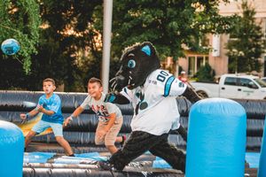 Image post by @SirPurr on Twitter