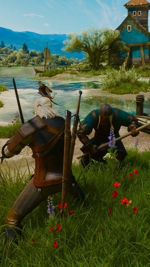 Video post by @thewitcher on Instagram