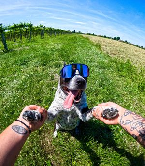 Image post by @gopro on Instagram