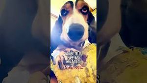 Video post by @evolsoulx on YouTube