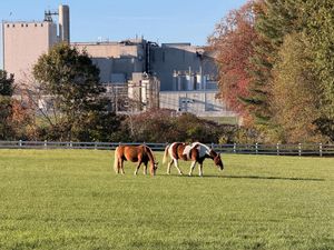 Image post by @mmkbiergarten on Instagram