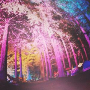 Image post by @nnmfestival on Instagram