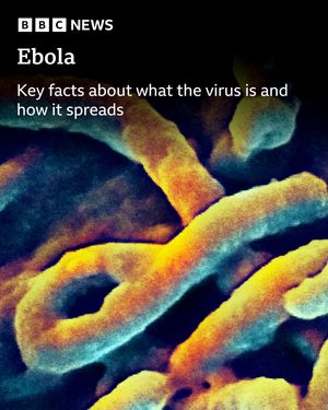 Image post by @bbcnews on Instagram