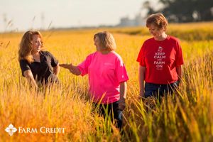 Image post by @farmcredit on Twitter