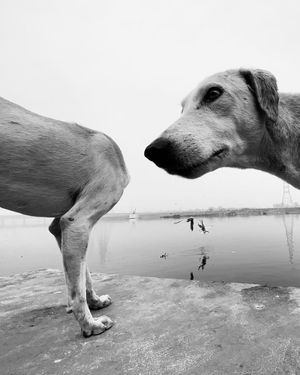 Image post by @fubiz on Instagram