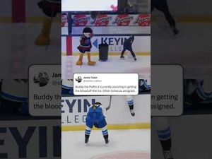 Video post by @flohockey on YouTube