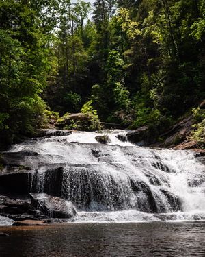 Image post by @wandernorthga on Instagram