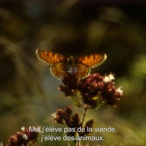 Image post by @tenk.fr on Instagram