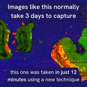 Image post by @biohub on Instagram