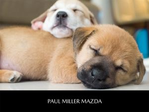 Image post by @PaulMillerMazda on Facebook