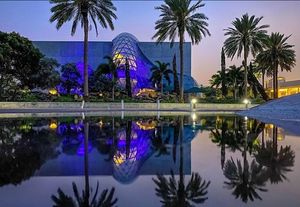 Image post by @dalimuseum on Instagram