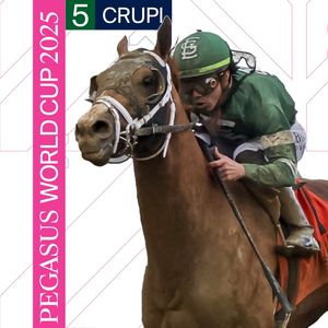 Image post by @pegasusworldcup on Instagram