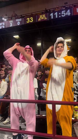 Video post by @gophermbb on TikTok