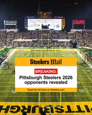 Video post by @steelers on TikTok