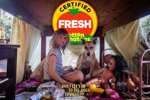 Image post by @sonyclassics on Instagram