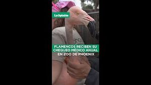 Video post by @laopinionla on YouTube