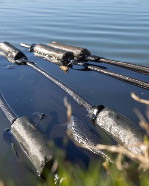 Image post by @brothercarp on Instagram